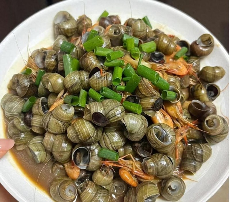 4月4清明，别忘吃“清明第一鲜”，当季肥美，鲜嫩营养，别不懂吃