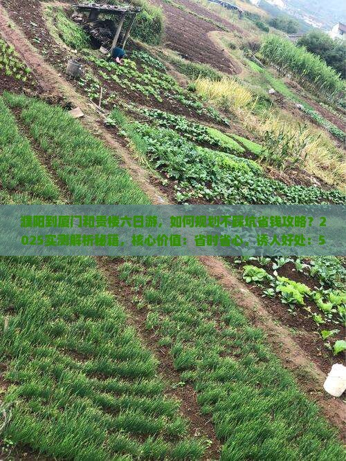濮阳到厦门和贵楼六日游
