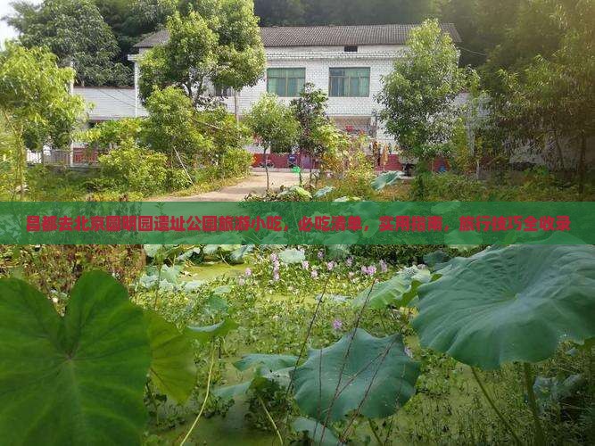 昌都去北京圆明园遗址公园旅游小吃，必吃清单，实用指南，旅行技巧全收录