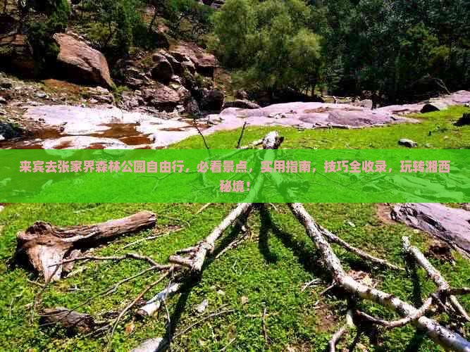 来宾去张家界森林公园自由行