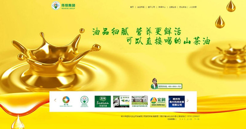 品牌网站建设 品牌网站建设