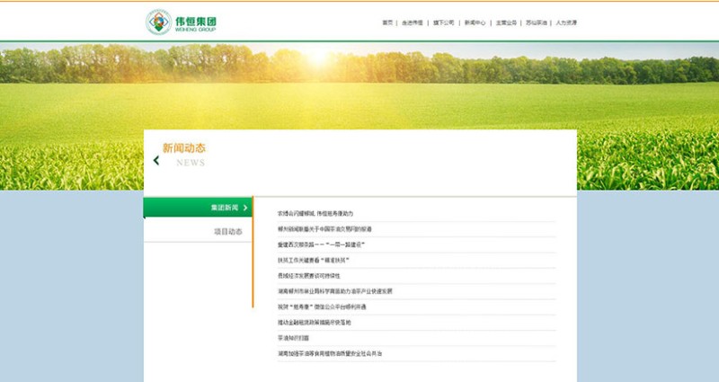 品牌网站建设 品牌网站建设