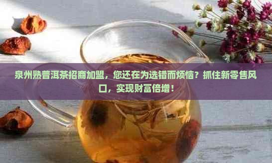 泉州熟普洱茶招商加盟